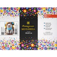 Алмазная мозаика  Феникс+ Кот в шарфе 70855
