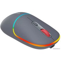Мышь Canyon MW-22 (темно-серый)