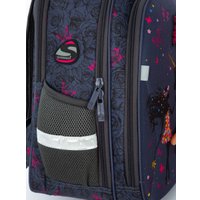 Школьный рюкзак Steiner SK3-3