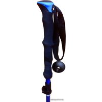 Палки для скандинавской ходьбы Fora XG-03