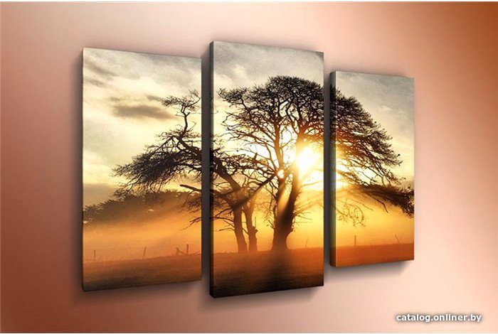 

Модульная картина Arthata m-000139 75x50
