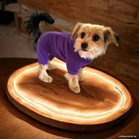 Комбинезон для животных Жлобинская швейная фабрика для собак мелких пород 24с23нс78 (26 см, бордовый)