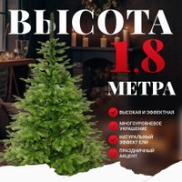 Ель Erbis Swierk Natura 180