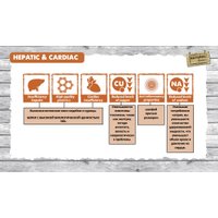 Сухой корм для собак Natural Greatness Hepatic-Cardiac 2 Кг