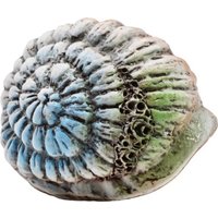 Декорация ZooExpress Иж Раковина Ш6