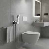 Гигиенический душ Lauter Rainix 21LT7711CH