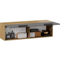 Шкаф-купе Трия Хилтон 1100 (дуб крафт золотой/графит матовый) в Гомеле