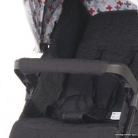 Коляска прогулочная «книга» Lorelli Ines (black leawes)
