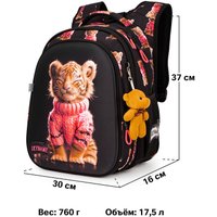 Школьный рюкзак SkyName R1-064 + брелок мишка