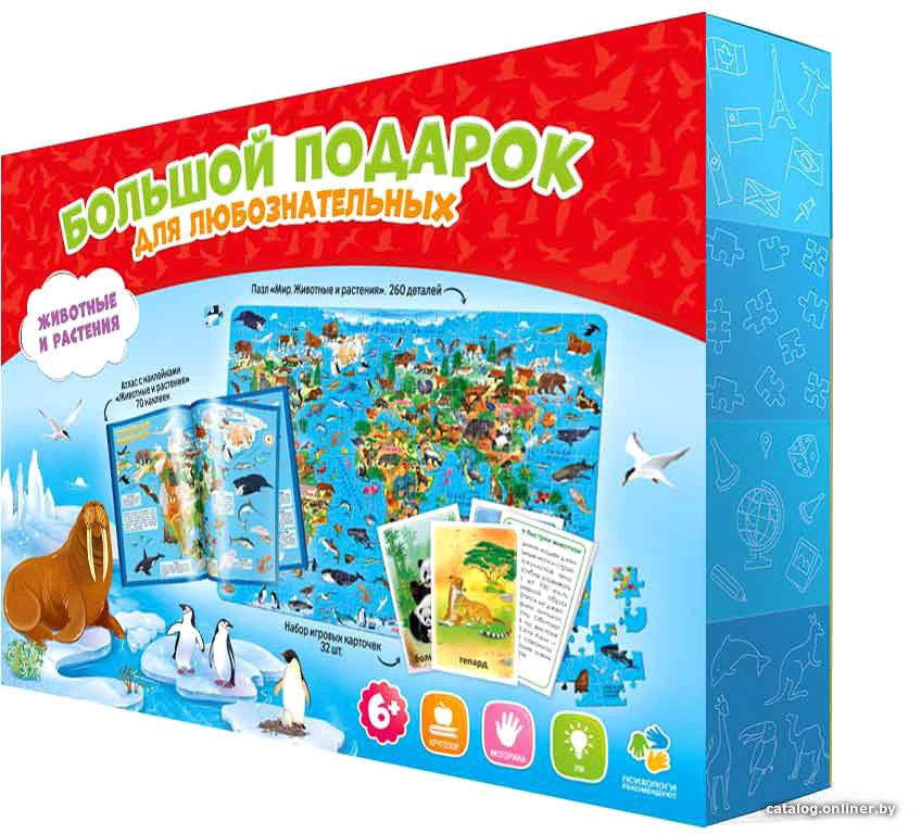 Развивающая игра ГеоДом Мой мир. Большой 5204