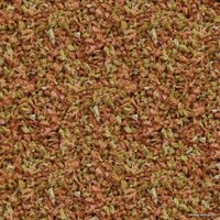 Сухой корм Sera Vipagran 3 кг