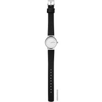 Наручные часы Skagen SKW2668