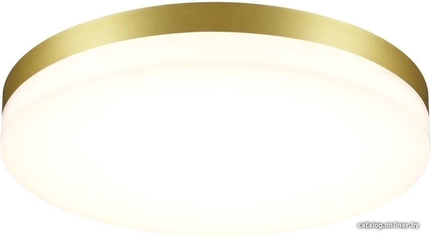 Уличный накладной светильник Novotech Opal 358892