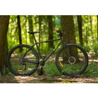 Велосипед Shulz Morning Train To Vyborg S 2024 (невский вечер)