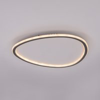 Припотолочная люстра Citilux Trio CL215B251E (черный)