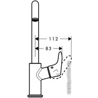 Смеситель Hansgrohe Focus E2 31609000