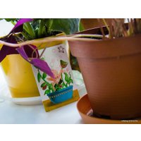 Детская настольная игра Мир Хобби Домовята