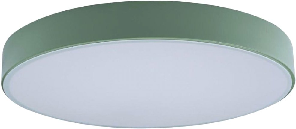 

Светильник-тарелка LOFT IT Axel 10002/24 Green