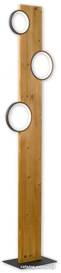 Торшер Lussole Modesto LSP-0905