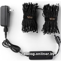 Светодиодная гирлянда Twinkly Special Edition 250 LEDs