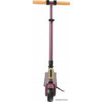 Электросамокат AccesStyle Panda 13S