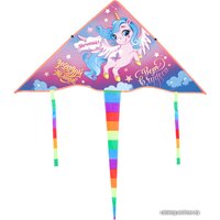 Воздушный змей Funny Toys Верь в чудеса 4654442