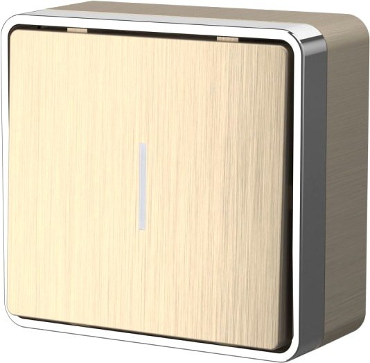 

Выключатель Werkel W5010110