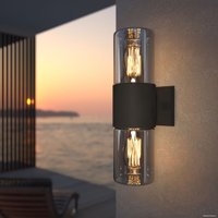 Уличный настенный светильник Elektrostandard Roil 35125/D (черный/дымчатый)