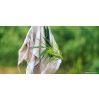 Матрас Mr. Mattress Sativa 140x195