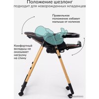 Высокий стульчик Amarobaby Elegant AB23-23EL/09 (черный)