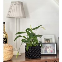 Кашпо Polnix 05.351.14