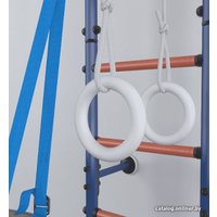 Детский спортивный комплекс Polini Kids Sport Active (лазурный)