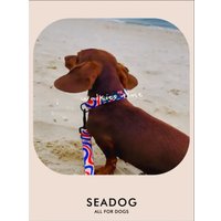 Ошейник Seadog Summer Mood S