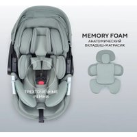 Детское автокресло Rant Aster Zero AY378 (оливковый)