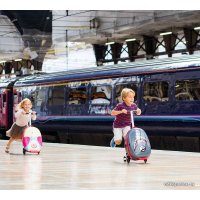 Трехколесный самокат Zinc Flyte Panda