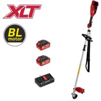 Триммер Wortex TB 3036-1 ALL1 XLT Set 1334872 (с 2-мя АКБ)
