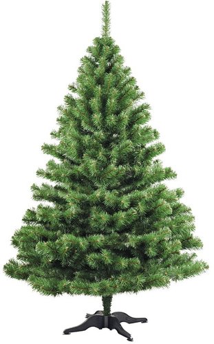 Ель Бифорес Стандарт 1 м