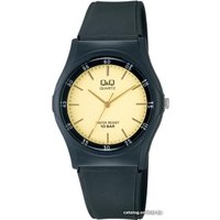 Наручные часы Q&Q VQ04J001