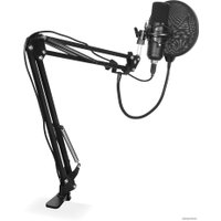 Микрофон SunWind SW-SM400G