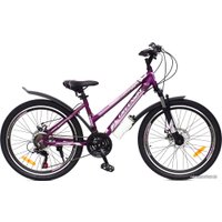 Велосипед Greenway Colibri-H 24 р.14 2021 (фиолетовый/розовый)
