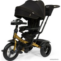 Детский велосипед Nuovita Bamzione B2 (черное золото)