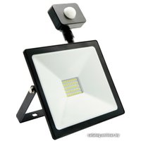 Уличный прожектор SmartBuy SBL-FLSen-30-65K