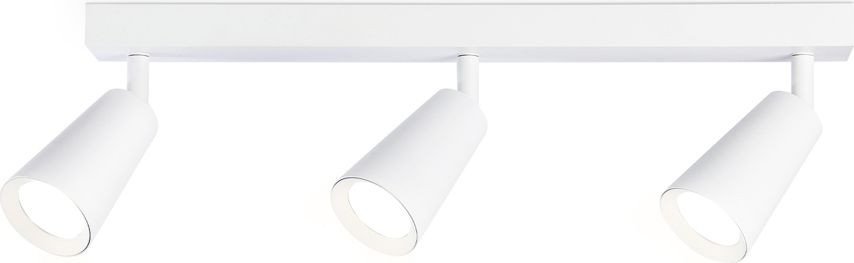 

Спот Ambrella light Move TA13148
