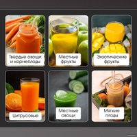 Соковыжималка Zigmund & Shtain EJ-756