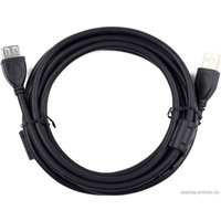 Удлинитель Cablexpert CCF2-USB2-AMAF-10