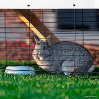 Клетка Ferplast Grand Lodge 120 57085360