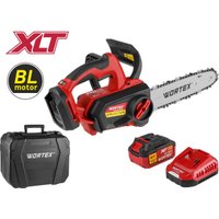 Аккумуляторная пила Wortex CEC 2518-3 ALL1 XLT Set 2325004 (с 1-им АКБ, кейс)