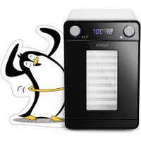 Сушилка для овощей и фруктов Kitfort KT-1981