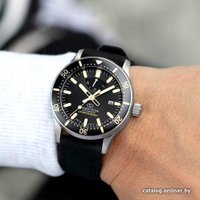 Наручные часы Orient RE-AU0303B