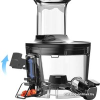 Соковыжималка Hurom H100S (бежевый)